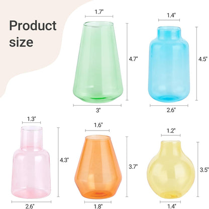 Mkono Propagation Vases for Plants, Set of 5 Small Glass Jar Planters for Hydroponic Cutting Flowers, Plant Station Bud Vases for Centerpieces Home Office Decor Gift (Colorful)