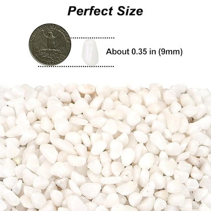 Landscaping Pebbles River Rocks Decorative Ornamental Pebbles Garden Landscaping Stones Gravel Filler for Home Decoration Flower Bed Fish Tank Plants Vases Succulents (1, White, 1 Pound)