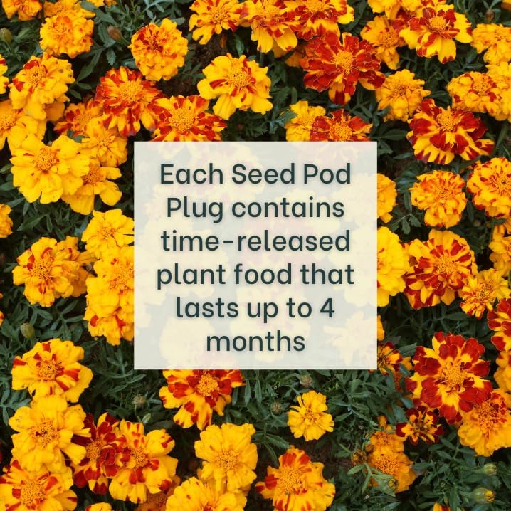 Marigold - Complete Seed Pod Plugs with Plant Food - 10 Pods for Hydroponic Gardens, Click and Grow, Lettuce Grow and Outdoor Gardens