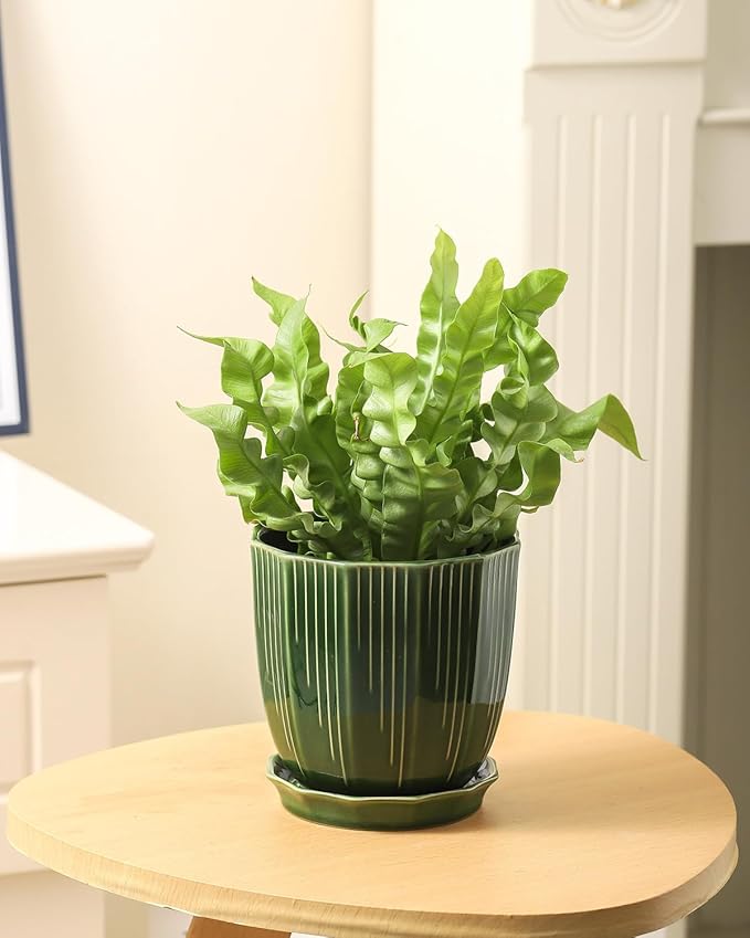 ADN Ceramic Planter - Large Plant Pot Geometric Design Flower Pot with Drainage Hole and Saucer for Outdoor Indoor Plants (Green, 6 in)