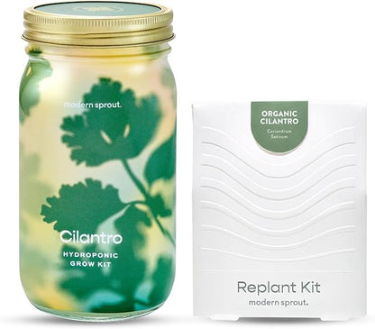 Modern Sprout Mason Garden Jar + Replant Kit - Self-Watering Hydroponics Growing System Kit w/Organic Herb Seeds - Jar Planter for Indoor Herb Garden - Seed Starter - Home Decor Gifting - Cilantro