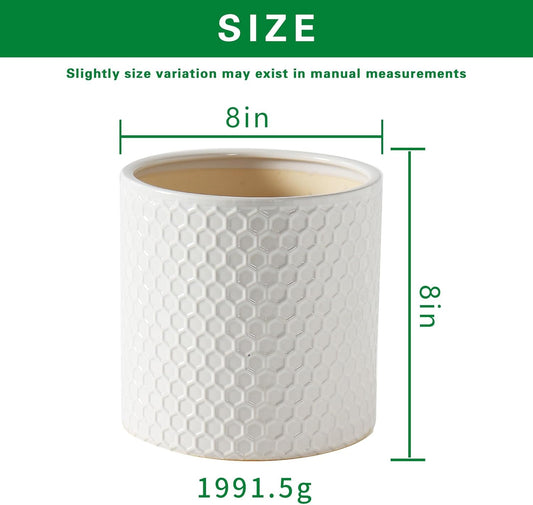 Docrin Ceramic Planters Indoor, 8 Inch Plant Pot with Drainage Holes for Home/Office - White Honeycomb