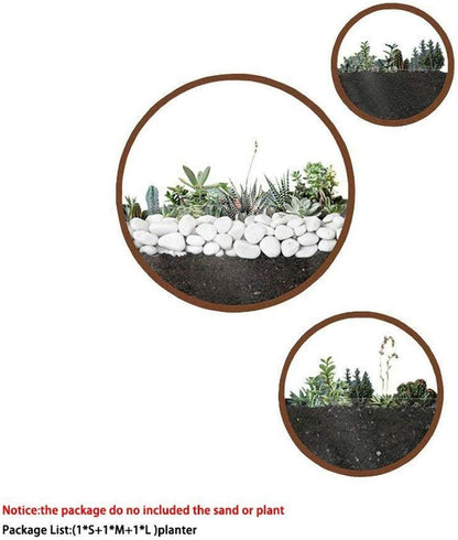 3 Pack Set Wall Planters,Modern Round Glass Wall Planter Succulent Planter Circle Iron Hanging Planter Vase for Herb,Small Cactus Perfect for Balcony, Room and Patio Decor (Coffee)