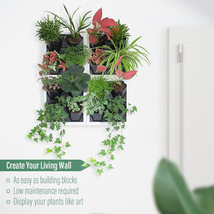 Self Watering Wall Planter with 4 Pots - Easy to Create Indoor Living Wall for Home, Office and Shop Front - Includes Water Gauge (White)