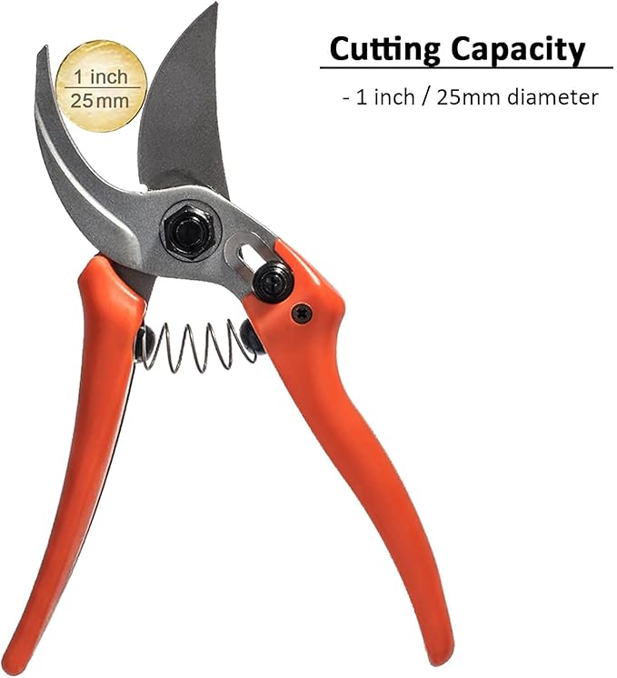 8" Lightweight Pruning Shears - Bypass Gardening Scissors, Sharp Garden Clippers with Low-friction Painted Stainless Steel Blade