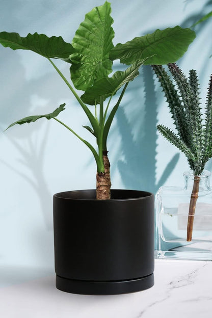 Ceramic Plant Saucer Pot Tray 10 Inch, Planter Saucers 4 5 6 7 8 9 10 11 12 13 Inch for Indoors Outdoor, Durable Sturdy Flower Drainage drip Water Tray for Glazed Pots Base (10.7 Inch-Black)