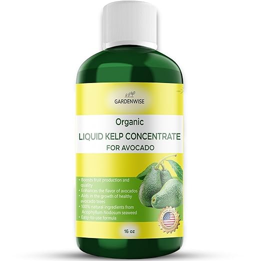 Organic Premium Kelp Seaweed Fertilizer - Liquid Plant Food - Nutrient-Rich Soil Enhancer - Improves Fruit Yield and Quality - Natural Plant Food for Avocado Tree (16 OZ)