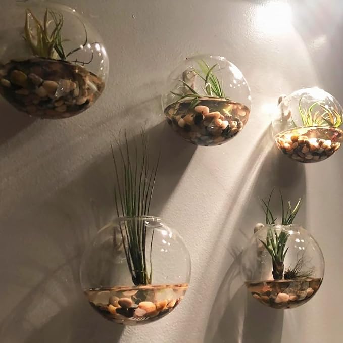 GASPRO 8lb Natural River Rocks, Decorative Rocks for Planters, Pots Indoor, Landscaping in Garden, Vases, Aquarium, Polished River Stones, 1-1 3/4 Inch