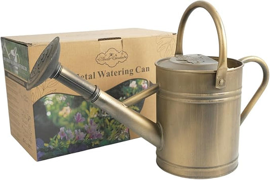 1 Gallon Vintage Bronze Galvanized Metal Watering Can for Indoor/Outdoor Plants,Garden, Balcony for Kids and Adults, Detachable Spout, Retro Rustic Decor (Shadow Patina)