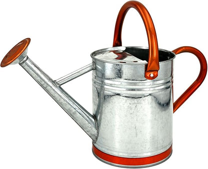 Metal Watering Can for Outdoor Plants, Galvanized Steel Watering Can with Removable spout, 1 Gallon,Perfect Home & Garden Décor Retro Zinc Hue