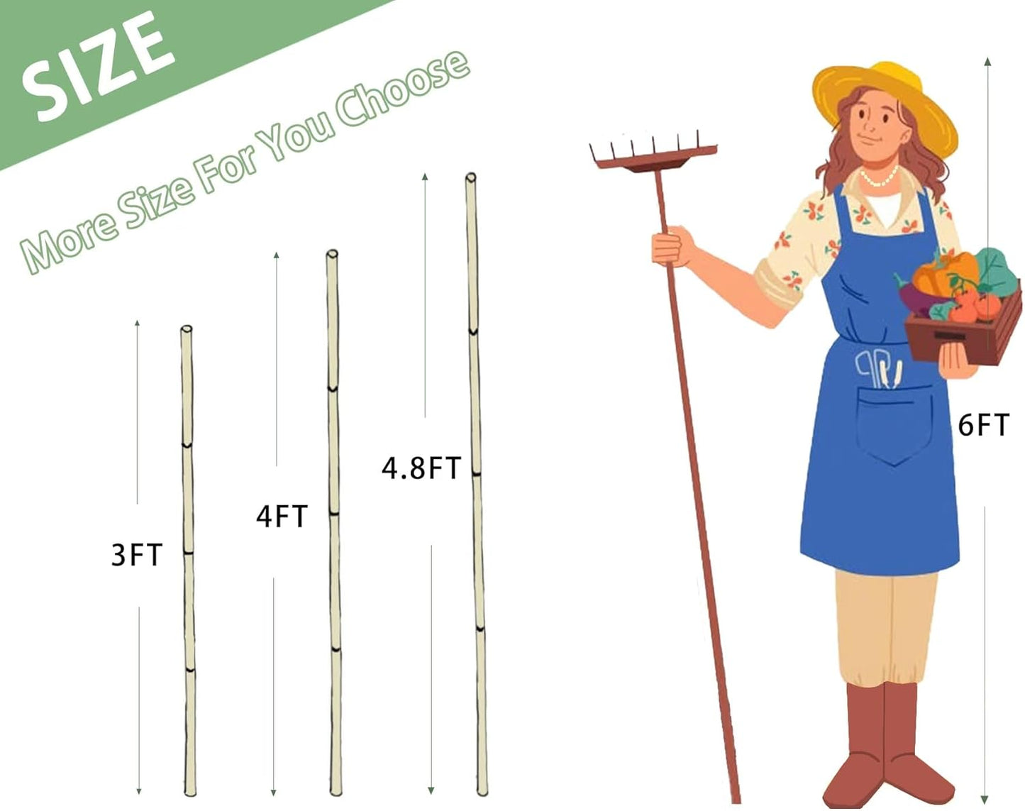 Plant Bamboo Post,4Feet,Bamboo Garden Stakes,50PcsBamboo Stakes,for Tomato,Beans,Vegetable and Flowers, Potted Plants,Indoor and Outdoor Climbing Plants