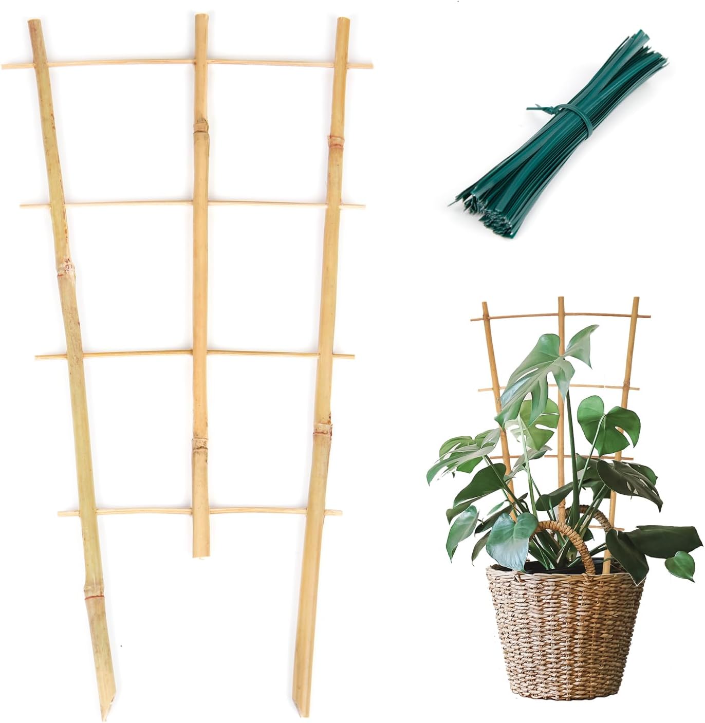 Plant Trellis Indoor 6 Pack Bamboo Trellis with Twist Ties, 16in Fan-Shaped Plant Trellises for Potted Plants Hoya Vines Monstera Houseplants
