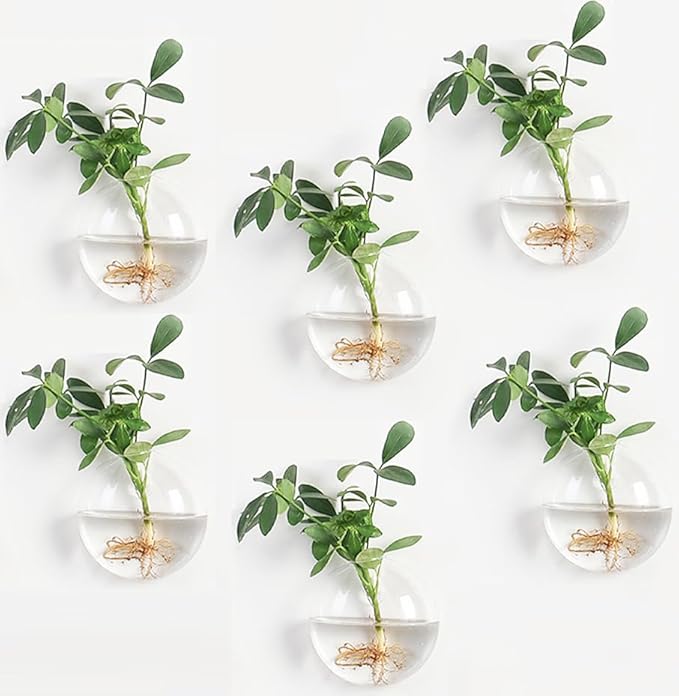 Wall Propagation Planters 6 Pack Glass Wall Planters Propagation Stations Wall Mount Plant Holder Wall Pots for Plants Indoor Wall Hanging Vases Terrariums Indoor Hydroponic Decor