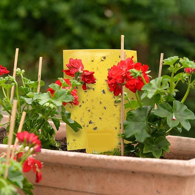 Gideal 30-Pack Dual-Sided Yellow Sticky Traps for Indoor Outdoor Flying Plant Insect Fungus Gnats, Whiteflies, Aphids, Leafminers,Thrips (6x8 Inches, Included 30pcs Twist Ties)
