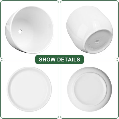 6.7 + 5.5 Inch Plant Pot, Ceramic Planter with Drainage and Saucer, Ceramic Pots for Plants, Indoor Plant pots,Succulent Pot Orchid Pots(Smooth White,Plant Pot Only)
