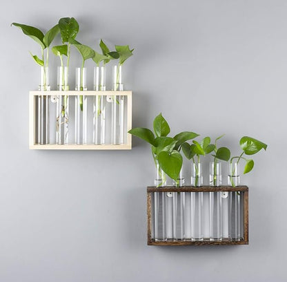 5 Tube Wooden Plant Propagation Station, Tabletop Glass Terrarium Holder for Cuttings Hydroponics, Home Office Desk Decor Gift for Women Mom Plant Lovers, Brown