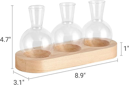 Mkono Desktop Plant Propagation Glass Vase Station Retro Plant Terrarium with Wooden Tray Bulb Flower Vase Container Perfect for Propagating Hydroponic Plants Home Office Decor Plant Lover Gift Idea