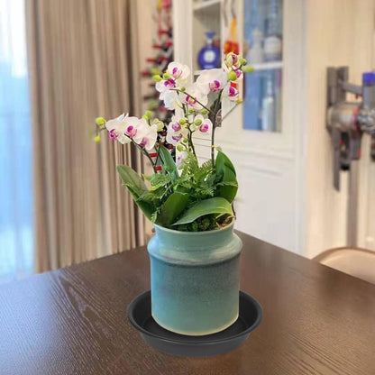 6 Pack 6 inch Plant Saucer Tray, 4 6 8 10 12 15 17 19 inch Plant Saucers, Heavy Duty Plastic Plant Saucers for Indoors, Bird Bath Bowls, Flower Plant Water Trays for pots Planter (6", Black)