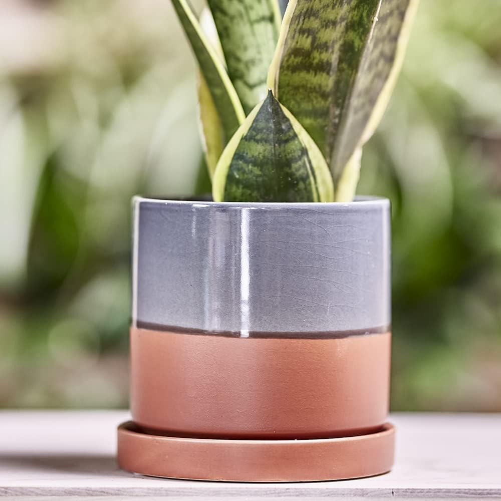 CHIVE ‘Minute’ Ceramic Planter Pot — Cute 5” Colorful Succulent Pots for Indoor & Outdoor House Plants — Beautiful Modern Farmhouse Kitchen Decor — Terracotta