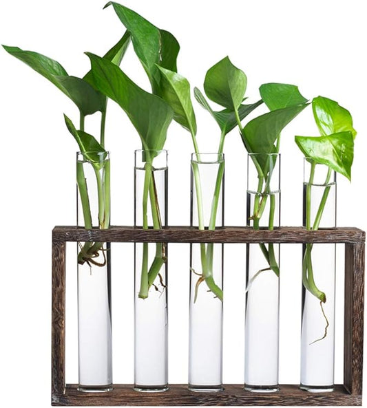 5 Tube Wooden Plant Propagation Station, Tabletop Glass Terrarium Holder for Cuttings Hydroponics, Home Office Desk Decor Gift for Women Mom Plant Lovers, Brown