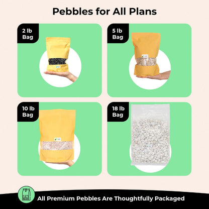 White Rocks. Decorative Pebbles. 1/5 Inch 5 lbs for Garden, Landscaping, Indoor, Vase fillers, Crafting, Succulents, pots, Plants (Mini (0.2 Inch), Tumbled, 5)