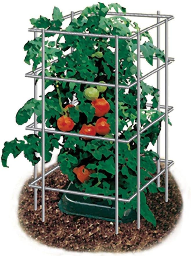Park Seed Tomato Cages – 48" Tall Heavy-Duty Plant Supports for Tomatoes, Peppers, Cucumbers, and Climbing Vegetables, Foldable Metal Garden Trellis, Pack of 3