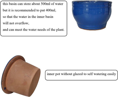 African Violet Pots Self Watering Round Ceramic Violet Pot (Blue, 6 inch)