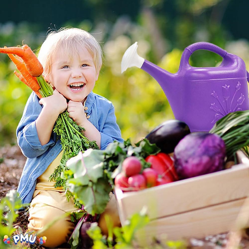 PMU 2 Gallon Watering Can - Garden Watering Can for Indoor & Outdoor Plants - Plastic Water Can with Detachable Sprinkler Head - Large Water Pot, Made in USA - Purple Pkg/3