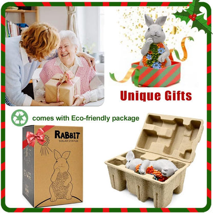 Nacome Garden Outdoor Statues Bunny with Succulent and 7 LED Lights – Lawn Decor for Patio, Balcony, Yard Ornament - Unique Housewarming Gifts