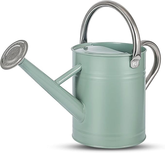 1 Gallon Watering Can for Plants, Watering Cans for Indoor&Outdoor Gardening, Galvanized Steel Watering Pot with Removable Spout, Metal Water Can with Ergonomic Movable Handle(Cream Green)
