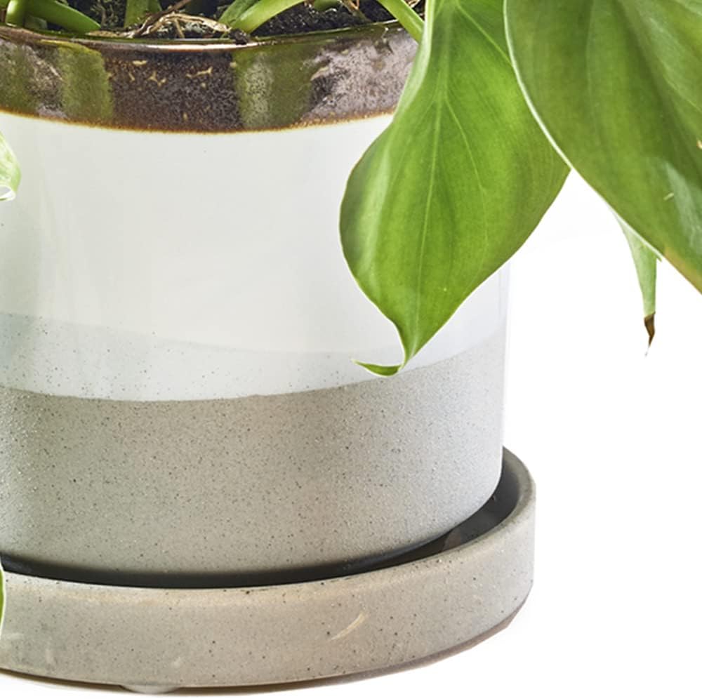 CHIVE ‘Minute’ Ceramic Planter Pot — Cute 5” Colorful Succulent Pots for Indoor & Outdoor House Plants — Beautiful Modern Farmhouse Kitchen Decor — Mocha Cement