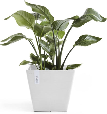 Ecopots Rotterdam Durable Modern Square Indoor/Outdoor Recycled-Based Composite Flower Planter, Pure White, 15.75"