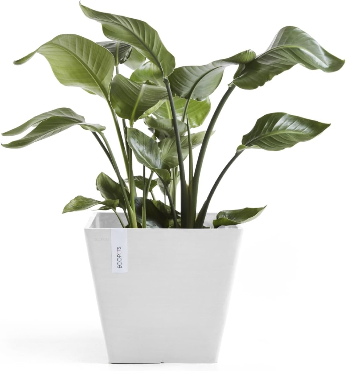 Ecopots Rotterdam Durable Modern Square Indoor/Outdoor Recycled-Based Composite Flower Planter, Pure White, 12"