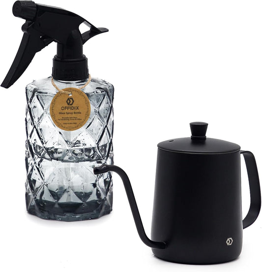 OFFIDIX Watering Can for Indoor Plants,Long Spout Metal Stainless Steel 21 oz/600 ml Watering Can with 14 oz/400ml Glass Plant Mister Spray Bottle for Plant Bonsai