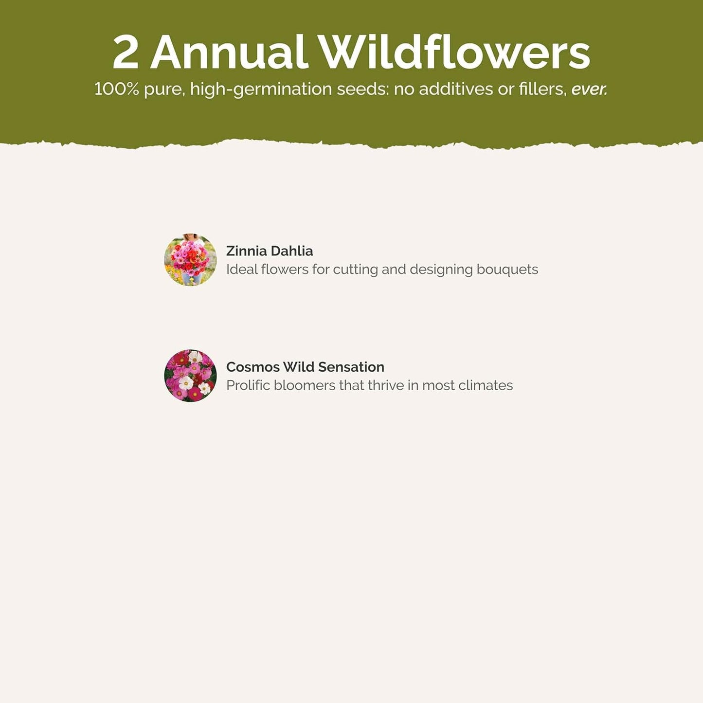 Eden Brothers Cosmic Zen Flower Mixed Seeds for Planting, 1 lb, 480,000+ Seeds with Zinnia Dahlia Flowered, Cosmos Sensation | Attracts Pollinators, Plant in Spring, Zones 3, 4, 5, 6, 7, 8, 9, 10