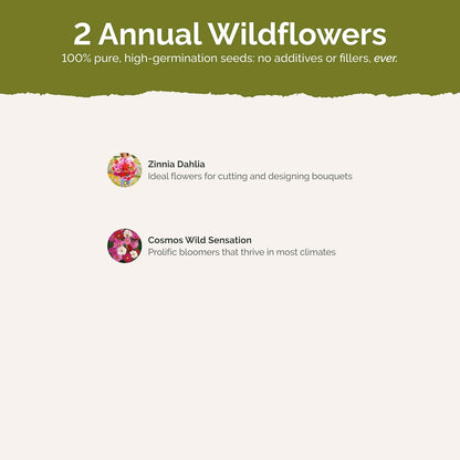 Eden Brothers Cosmic Zen Flower Mixed Seeds for Planting, 5 lb, 2,400,000+ Seeds with Zinnia Dahlia Flowered, Cosmos Sensation | Attracts Pollinators, Plant in Spring, Zones 3, 4, 5, 6, 7, 8, 9, 10