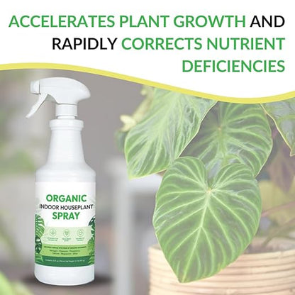 Organic Indoor Houseplant Spray - Liquid Plant Food in a Spray Bottle (Foliar Fertilizer) | Use on All Live Indoor Plants, Orchids, and Succulents | No Mixing Required (32oz)