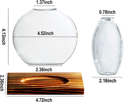 Glass Planter Propagation Station with Wooden Base - Clear Oblate Hydroponic Vase, Decorative Desktop Flower Vase for Home, Office, Windowsill - Gift for Plant Lovers (6)