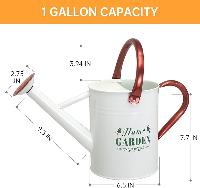 Metal Watering Can for Outdoor Plants, Galvanized Steel Watering Can with Removable spout, 1 Gallon,Perfect Home & Garden Décor White