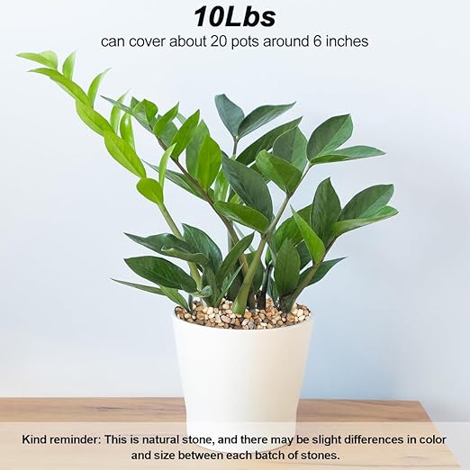 Landscaping Pebbles River Rocks Decorative Ornamental Pebbles Garden Landscaping Stones Gravel Filler for Home Decoration Flower Bed Fish Tank Plants Vases Succulents (Mix Color, 10 Pounds)