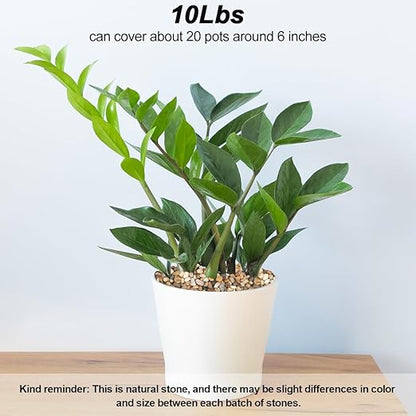 Landscaping Pebbles River Rocks Decorative Ornamental Pebbles Garden Landscaping Stones Gravel Filler for Home Decoration Flower Bed Fish Tank Plants Vases Succulents (Mix Color, 10 Pounds)