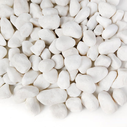 HappyFiller 18 LB White Gravels Small Terrarium Rocks Stones for Bamboo,Cactus,Vase Fillers,Succulents Plants,Landscaping,Aquarium,Zen Garden,1 Inch