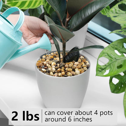 2LB Succulent and Cactus Gravel Pebbles, 3/8 Inch Decorative Polished Stones, River Rocks for Plants, Vases, Aquariums, Terrarium and Outdoor Gardening, Natural