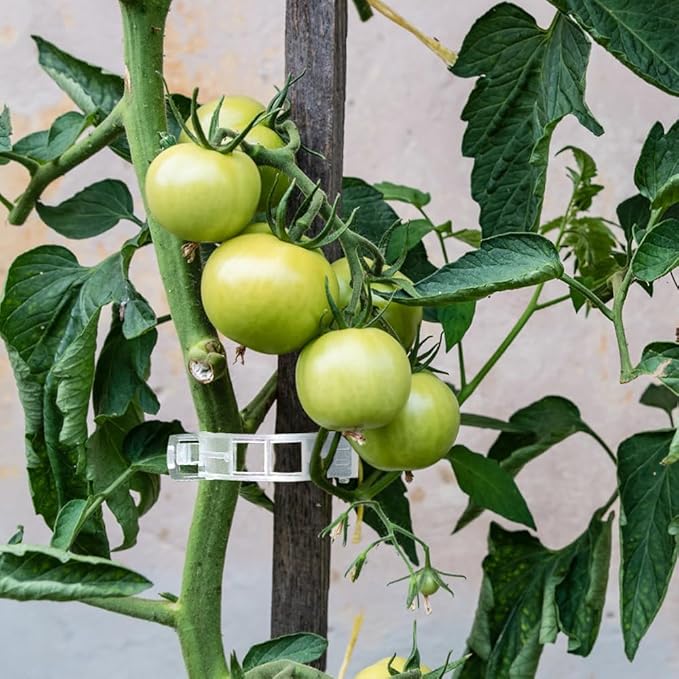 200 Pcs Plant Support Clips, 2 Types in 1 Pack, Plastic Garden Clips for Tomato, Grape, Cucumber, Vine Plants, Reusable Plant Clips for Climbing Plants (Green White)