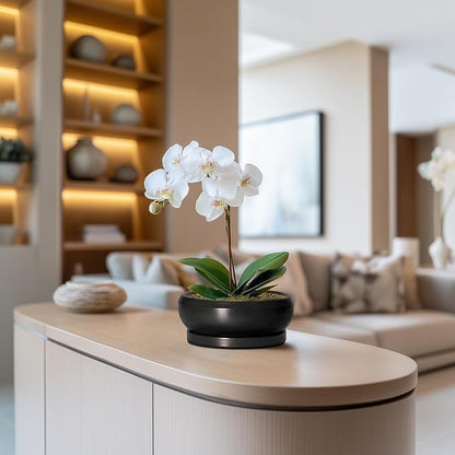 Bonsai Tree Pots Small - 6 Inch Ceramic Succulent Pots for Indoor Plants Outdoor, Round Planter with Drainage Hole and Saucer, Shallow Planter Bowl, Bathroom Decor, House Warming Gift, Black