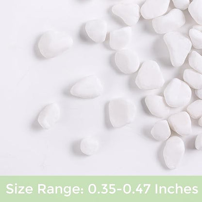 SIDONG 5 LB White River Rocks, 0.3-0.5 Inches Matte Pebbles for Indoor Plants, Aquarium Rocks Used in Fish Tank, Decorative Stones for Plants, Vases, Home Décor, Crafting, Garden Landscaping