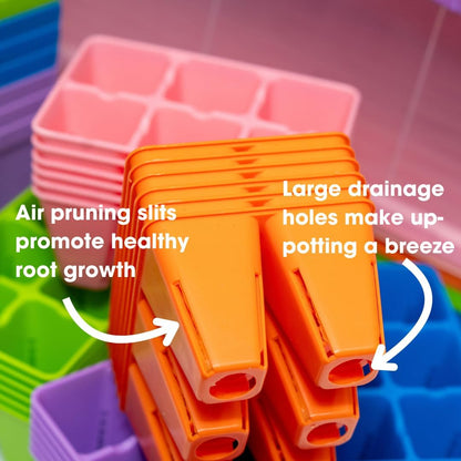 Bootstrap Farmer Ultimate Seed Starter Kit in Black with Humidity Domes for Indoor Seed Starting, Propagating, Germinating