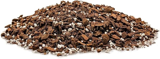 Premium Monstera Borsigiana Potting Mix - Retains Moisture and Promotes Root Growth by Gardenera - 5 Quart