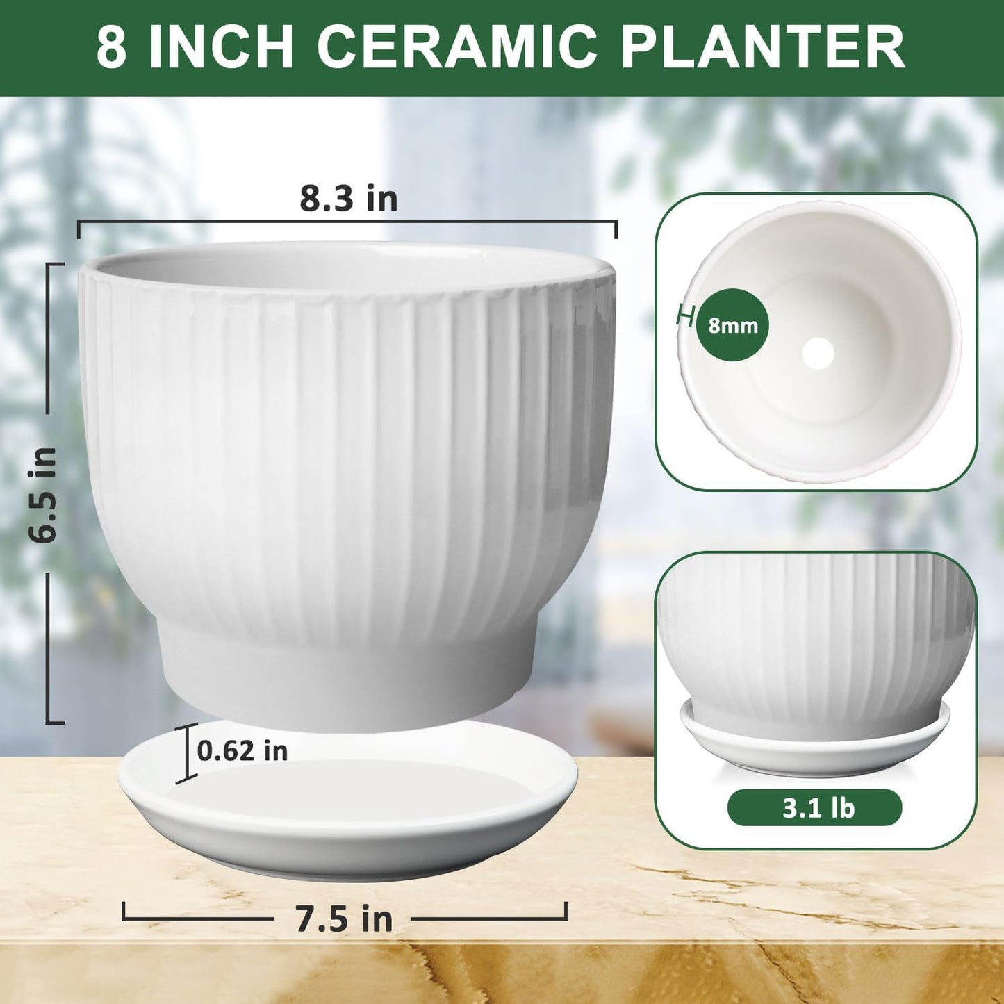 8 Inch Plant Pot,Ceramic Planter with Drainage and Saucer,Ceramic Pots for Plants,Indoor Plant pots,Ceramic Flower pots(Pure White, Plants NOT Included)