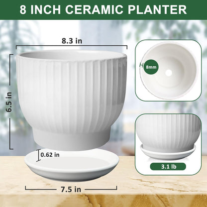 8 Inch Plant Pot,Ceramic Planter with Drainage and Saucer,Ceramic Pots for Plants,Indoor Plant pots,Ceramic Flower pots(Pure White, Plants NOT Included)